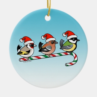 3_christmas_songbirds_round_ceramic_decoration-rff9bb1d858ab469b99f3bf380310c877_x7s2y_8byvr_324.  jpg